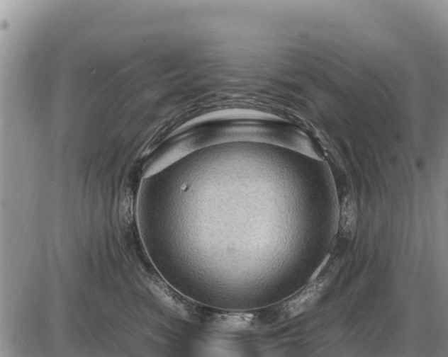 X0000087420474200704271742