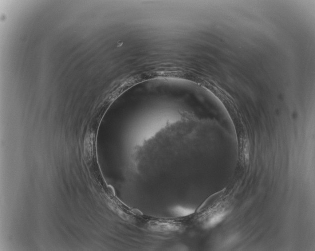 X0000087420475200704271742