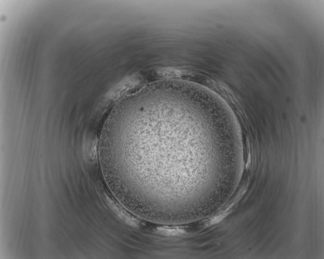 X0000087420477200704271742