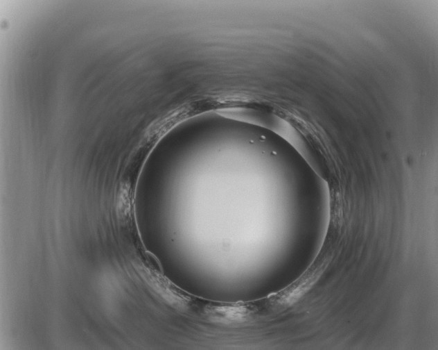 X0000087420478200704271742