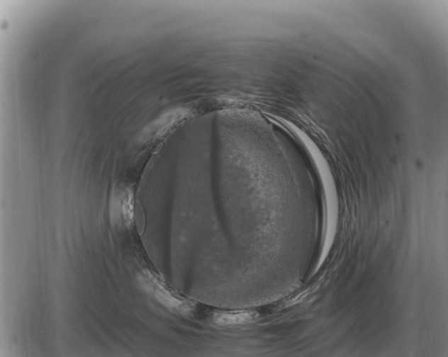 X0000087420479200704271742