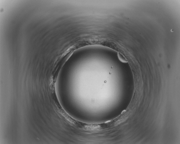 X0000087420480200704271742