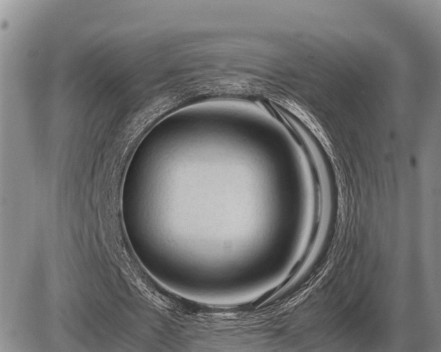 X0000087420481200704271741