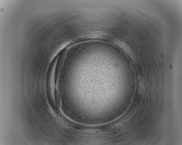 X0000087420482200704271741