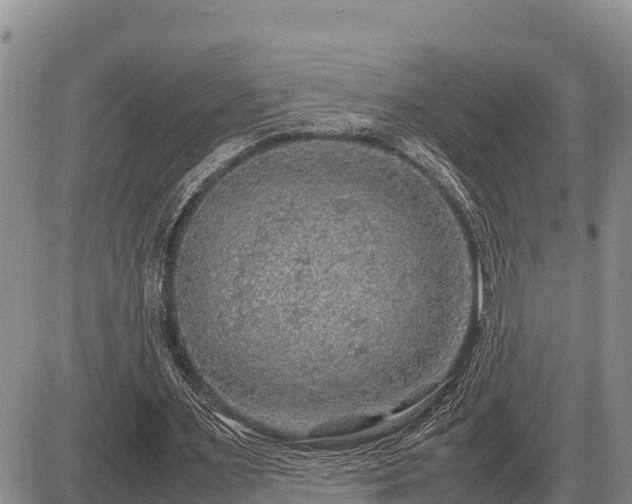 X0000087420483200704271741