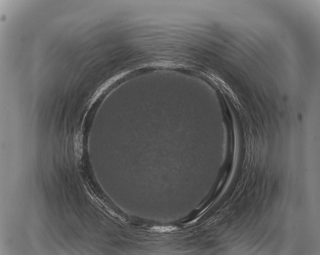 X0000087420484200704271741