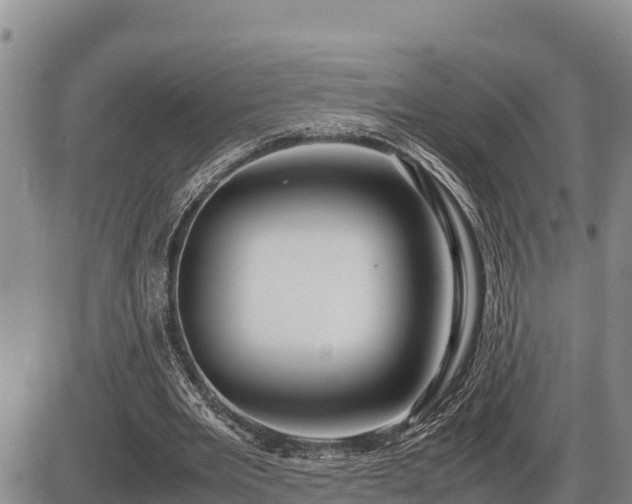 X0000087420485200704271741