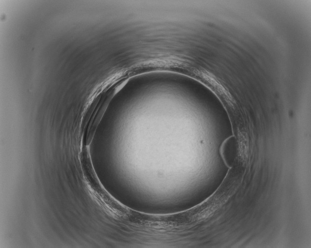 X0000087420486200704271741