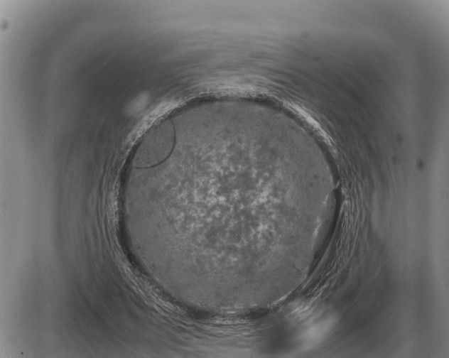 X0000087420487200704271741