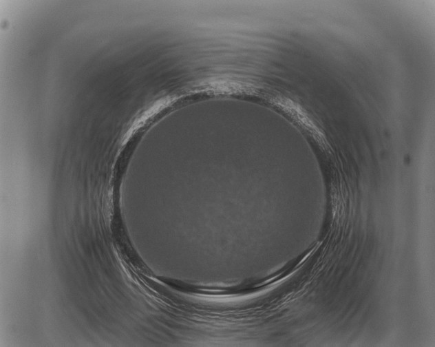 X0000087420488200704271741