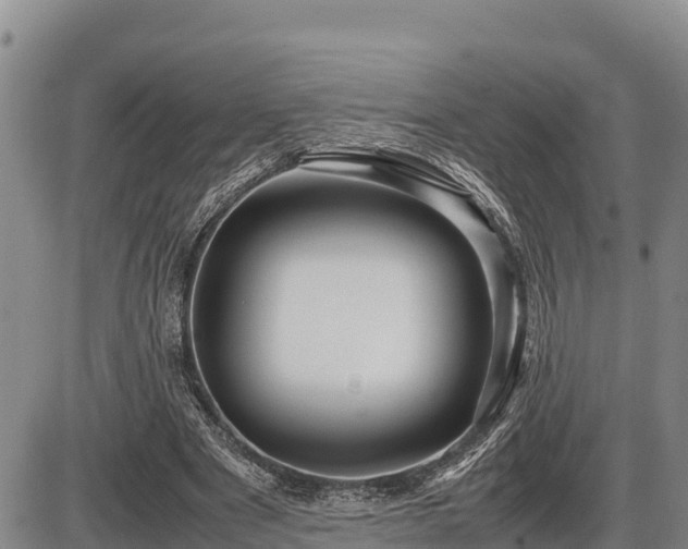 X0000087420489200704271741