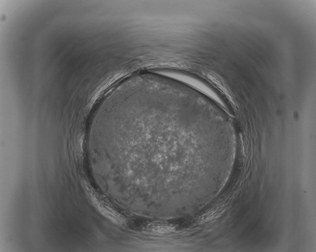 X0000087420491200704271741