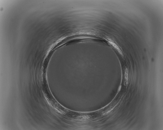 X0000087420492200704271741