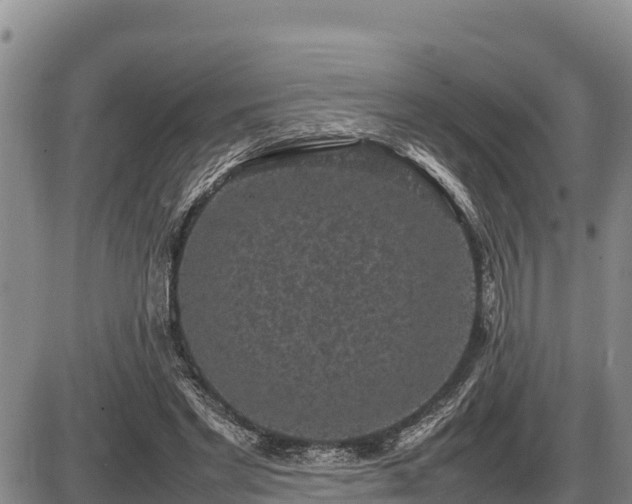 X0000087420493200704271741