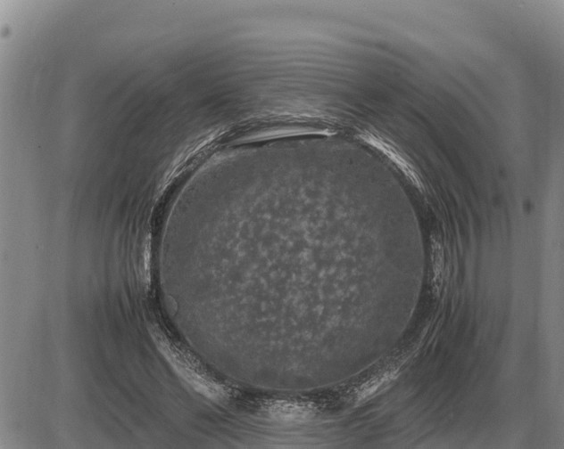 X0000087420494200704271741