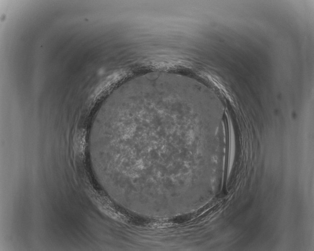 X0000087420495200704271741