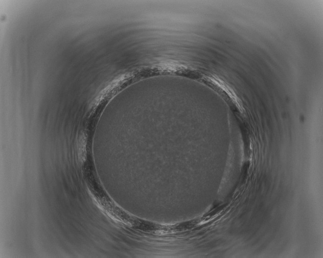 X0000087420496200704271741