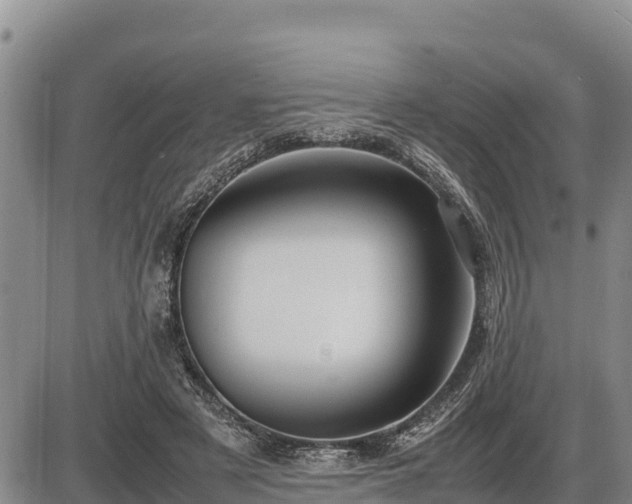 X0000087420497200704271741