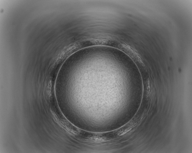 X0000087420498200704271741