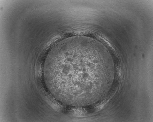 X0000087420499200704271741