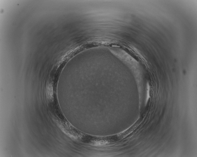 X0000087420500200704271741