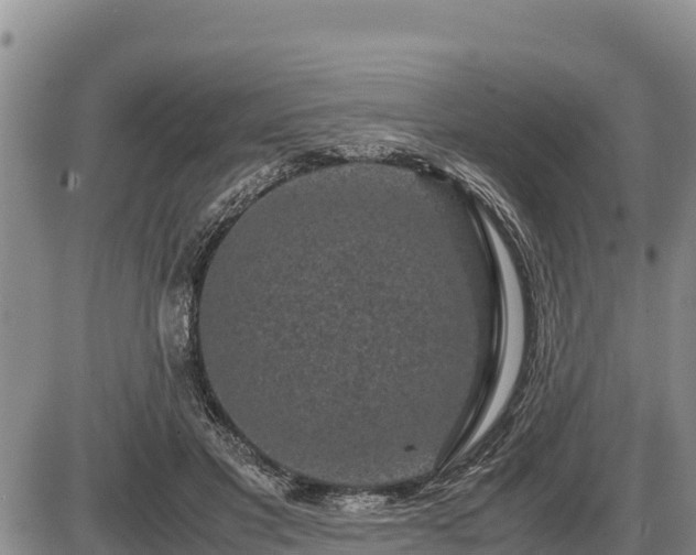 X0000087420501200704271741