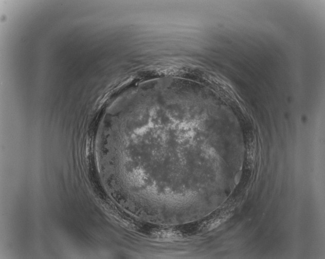 X0000087420503200704271740