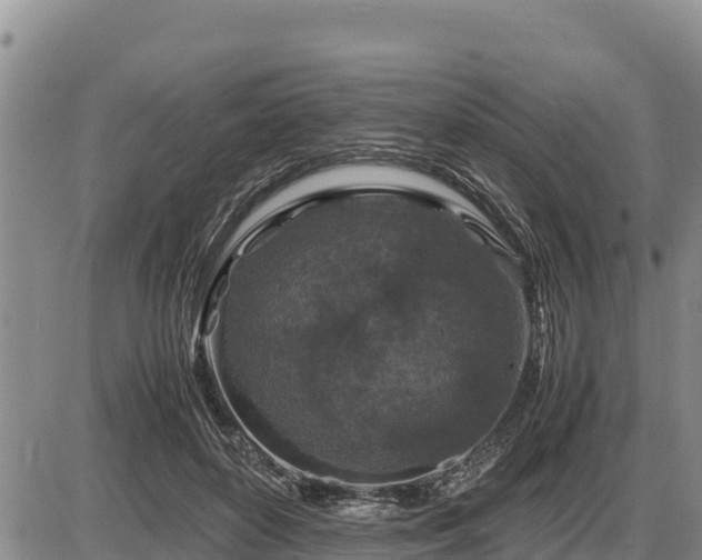 X0000087420504200704271740