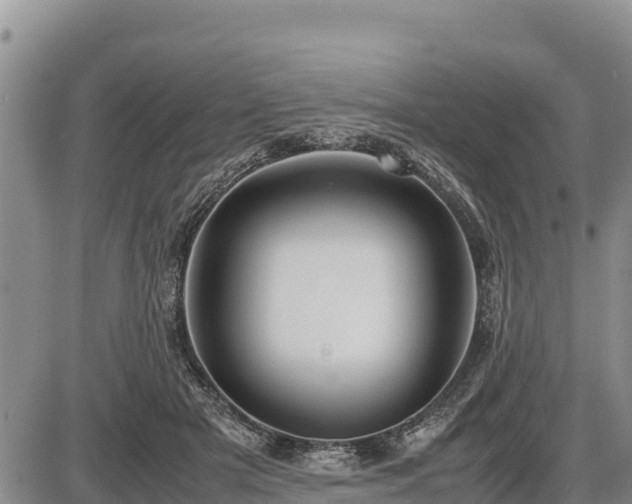 X0000087420505200704271740