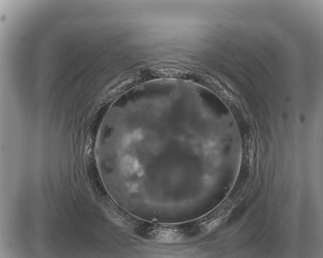 X0000087420507200704271740