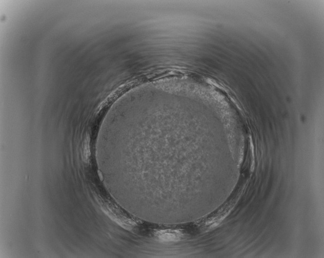 X0000087420508200704271740