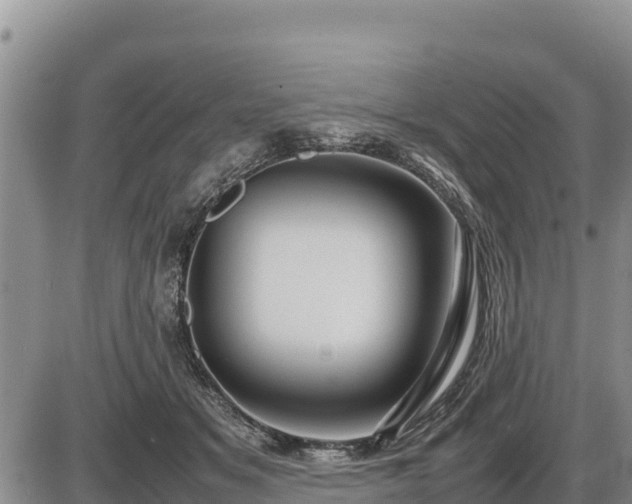 X0000087420509200704271740