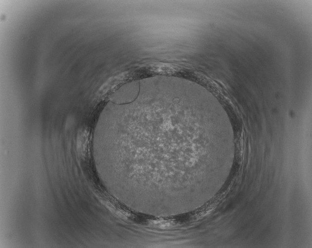 X0000087420511200704271740