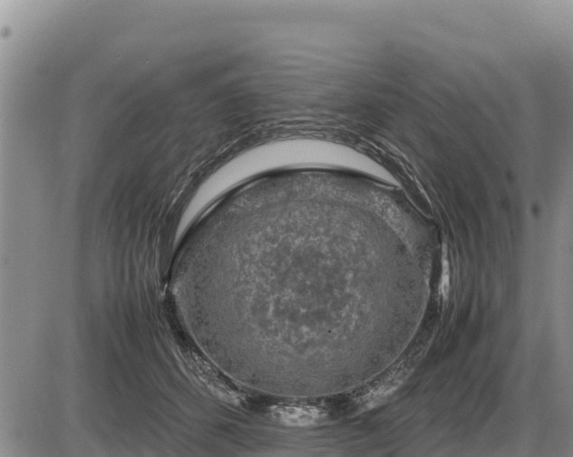 X0000087420512200704271740