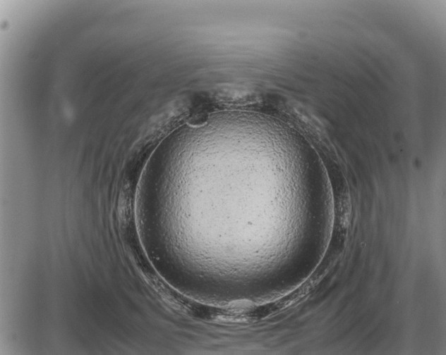 X0000087420515200704271740