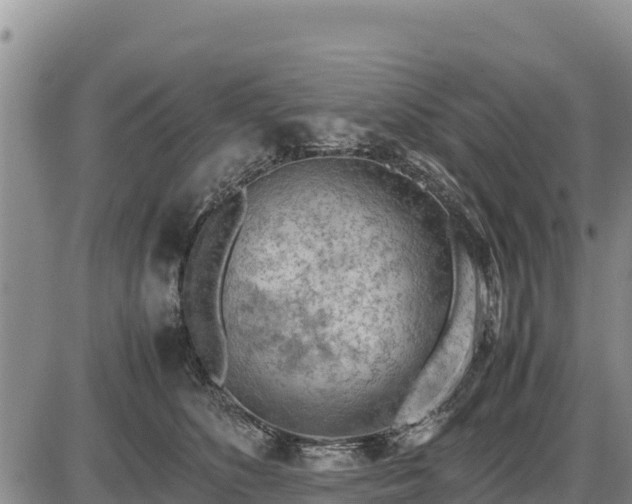 X0000087420516200704271740