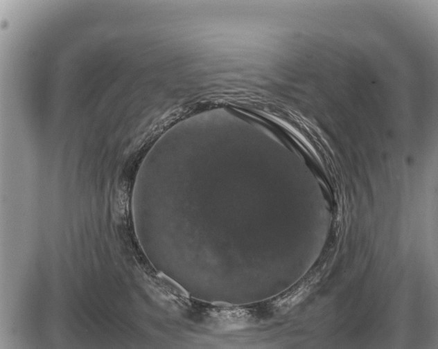 X0000087420517200704271740