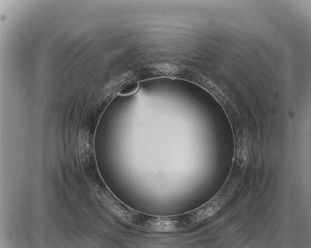 X0000087420518200704271740