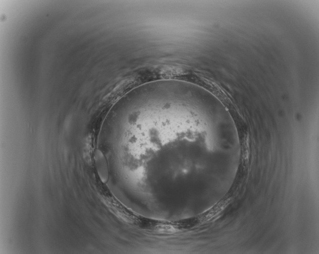 X0000087420519200704271740