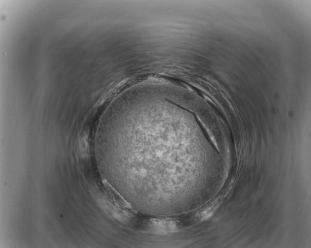 X0000087420520200704271740