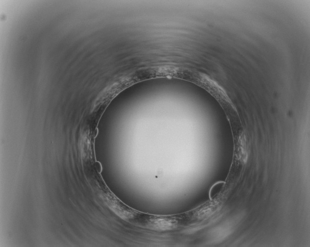 X0000087420522200704271740