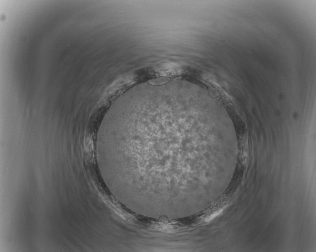 X0000087420523200704271740