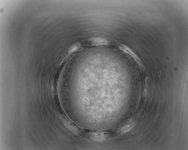 X0000087420524200704271740