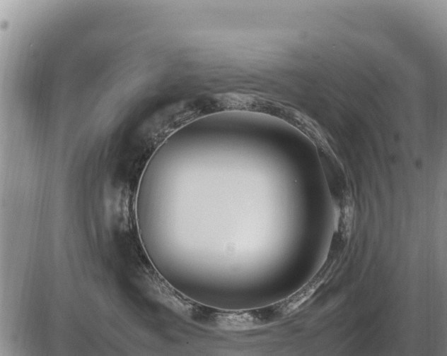 X0000087420525200704271740