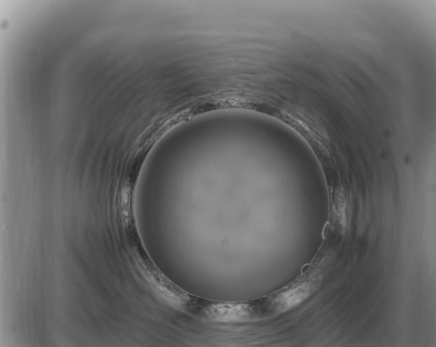 X0000087420526200704271740