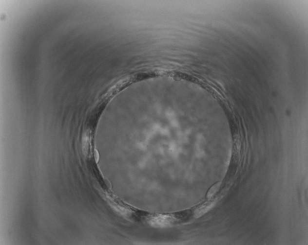 X0000087420527200704271740