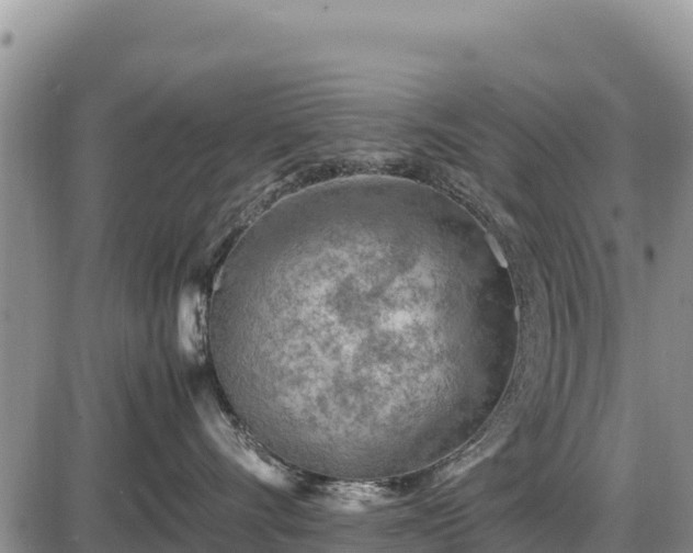 X0000087420528200704271740