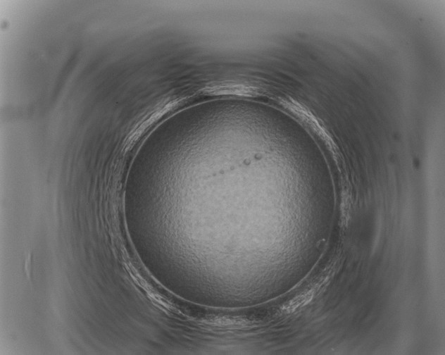 X0000087420529200704271739