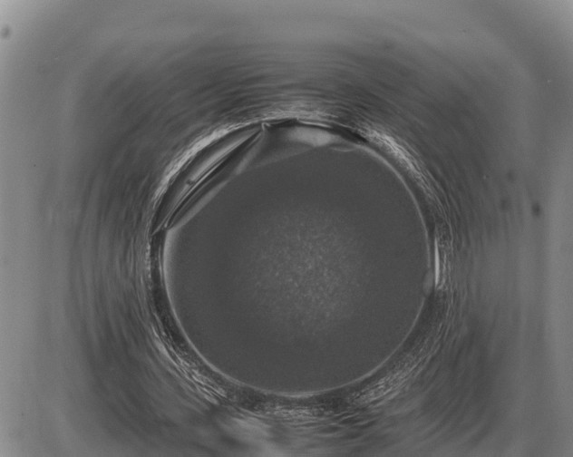 X0000087420531200704271739