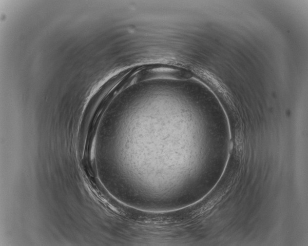 X0000087420532200704271739